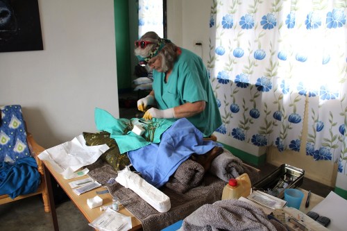 Spaying Ka'cyenda in our living room.