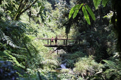 Kirsten and Heather in Nyungwe Forest National Park